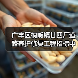 广丰区桐畈镇廿四厂道路养护修复工程招标中标机会解析(图4) 广丰区桐畈镇廿四厂道路养护修复工程招标中标机会解析(图4)