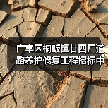 广丰区桐畈镇廿四厂道路养护修复工程招标中标机会解析(图3) 广丰区桐畈镇廿四厂道路养护修复工程招标中标机会解析(图3)