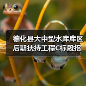 德化县大中型水库库区后期扶持工程C标段招标详情(图2) 德化县大中型水库库区后期扶持工程C标段招标详情(图2)