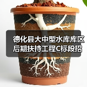 德化县大中型水库库区后期扶持工程C标段招标详情(图4) 德化县大中型水库库区后期扶持工程C标段招标详情(图4)