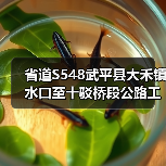 省道S548武平县大禾镇水口至十驳桥段公路工程招标资格要求详解(图1) 省道S548武平县大禾镇水口至十驳桥段公路工程招标资格要求详解(图1)