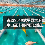 省道S548武平县大禾镇水口至十驳桥段公路工程招标资格要求详解(图3) 省道S548武平县大禾镇水口至十驳桥段公路工程招标资格要求详解(图3)