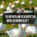 智慧医院建设如何打造康复项目新标杆?(图2) 智慧医院建设如何打造康复项目新标杆?(图2)