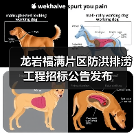 龙岩福满片区防洪排涝工程招标公告发布（图3）