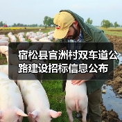 宿松县官洲村双车道公路建设招标信息公布(图2) 宿松县官洲村双车道公路建设招标信息公布(图2)