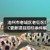 池州市老城区老街区EPC更新项目招标条件解析(图2) 池州市老城区老街区EPC更新项目招标条件解析(图2)