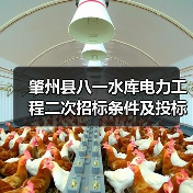 肇州县八一水库电力工程二次招标条件及投标指南（图2）
