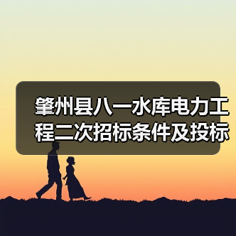 肇州县八一水库电力工程二次招标条件及投标指南（图4）