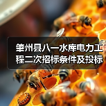 肇州县八一水库电力工程二次招标条件及投标指南（图3）