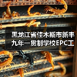 黑龙江省佳木斯市新丰九年一贯制学校EPC工程总承包招标详情解析(图2) 黑龙江省佳木斯市新丰九年一贯制学校EPC工程总承包招标详情解析(图2)
