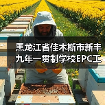 黑龙江省佳木斯市新丰九年一贯制学校EPC工程总承包招标详情解析(图3) 黑龙江省佳木斯市新丰九年一贯制学校EPC工程总承包招标详情解析(图3)