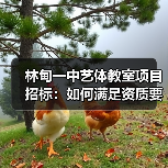 林甸一中艺体教室项目招标：如何满足资质要求？（图2）