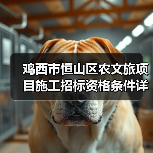 鸡西市恒山区农文旅项目施工招标资格条件详解（图4）