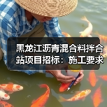 黑龙江沥青混合料拌合站项目招标：施工要求全解析（图4）