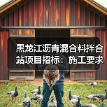 黑龙江沥青混合料拌合站项目招标：施工要求全解析（图3）