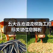 五大连池溢流坝施工招标关键信息解析(图3) 五大连池溢流坝施工招标关键信息解析(图3)