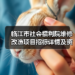 临江市社会福利院维修改造项目招标详情及资格要求(图2) 临江市社会福利院维修改造项目招标详情及资格要求(图2)
