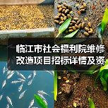 临江市社会福利院维修改造项目招标详情及资格要求(图3) 临江市社会福利院维修改造项目招标详情及资格要求(图3)