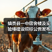 镇赉县一中宿舍楼及实验楼建设招标公告发布(图4) 镇赉县一中宿舍楼及实验楼建设招标公告发布(图4)