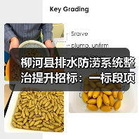 柳河县排水防涝系统整治提升招标：一标段项目启动
