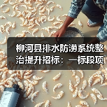 柳河县排水防涝系统整治提升招标:一标段项目启动(图2) 柳河县排水防涝系统整治提升招标:一标段项目启动(图2)