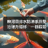 柳河县排水防涝系统整治提升招标:一标段项目启动(图3) 柳河县排水防涝系统整治提升招标:一标段项目启动(图3)