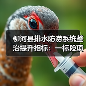 柳河县排水防涝系统整治提升招标:一标段项目启动(图4) 柳河县排水防涝系统整治提升招标:一标段项目启动(图4)
