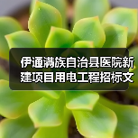 伊通满族自治县医院新建项目用电工程招标文件获取指南(图3) 伊通满族自治县医院新建项目用电工程招标文件获取指南(图3)