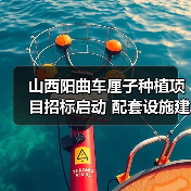 山西阳曲车厘子种植项目招标启动 配套设施建设火热招募
