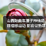 山西阳曲车厘子种植项目招标启动 配套设施建设火热招募(图2) 山西阳曲车厘子种植项目招标启动 配套设施建设火热招募(图2)