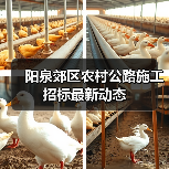 阳泉郊区农村公路施工招标最新动态