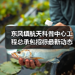 东风镇航天科普中心工程总承包招标最新动态(图3) 东风镇航天科普中心工程总承包招标最新动态(图3)