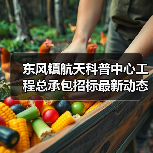 东风镇航天科普中心工程总承包招标最新动态(图4) 东风镇航天科普中心工程总承包招标最新动态(图4)
