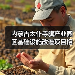 内蒙古太仆寺旗产业园区基础设施改造项目招标信息（图2）