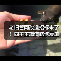 老旧管网改造招标来了!四子王旗道路恢复工程全解析(图2) 老旧管网改造招标来了!四子王旗道路恢复工程全解析(图2)