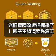 老旧管网改造招标来了!四子王旗道路恢复工程全解析(图3) 老旧管网改造招标来了!四子王旗道路恢复工程全解析(图3)