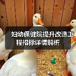 妇幼保健院提升改造工程招标详情解析