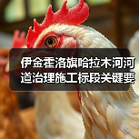 伊金霍洛旗哈拉木河河道治理施工标段关键要点解析