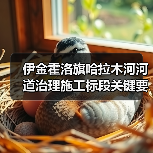 伊金霍洛旗哈拉木河河道治理施工标段关键要点解析(图3) 伊金霍洛旗哈拉木河河道治理施工标段关键要点解析(图3)