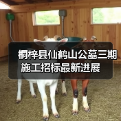 桐梓县仙鹤山公墓三期施工招标最新进展 桐梓县仙鹤山公墓三期施工招标最新进展