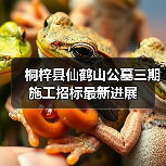 桐梓县仙鹤山公墓三期施工招标最新进展(图4) 桐梓县仙鹤山公墓三期施工招标最新进展(图4)