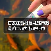 石家庄贾村福慧路市政道路工程招标进行中(图2) 石家庄贾村福慧路市政道路工程招标进行中(图2)
