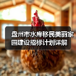 盘州市水库移民美丽家园建设招标计划详解(图3) 盘州市水库移民美丽家园建设招标计划详解(图3)