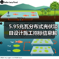 5.95兆瓦分布式光伏项目设计施工招标信息解析(图4) 5.95兆瓦分布式光伏项目设计施工招标信息解析(图4)