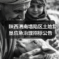 陕西渭南塌陷区土地复垦应急治理招标公告 陕西渭南塌陷区土地复垦应急治理招标公告