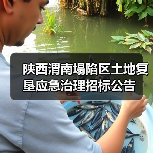 陕西渭南塌陷区土地复垦应急治理招标公告（图2）