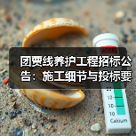团贾线养护工程招标公告：施工细节与投标要求解析（图3）