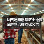陕西渭南塌陷区土地复垦应急治理招标公告（图3）