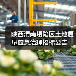 陕西渭南塌陷区土地复垦应急治理招标公告（图4）