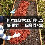 神木红柳林煤矿机电安装招标！一级资质+业绩要求，速看！